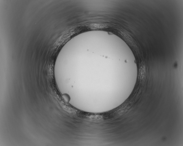X0000116160426200912141225