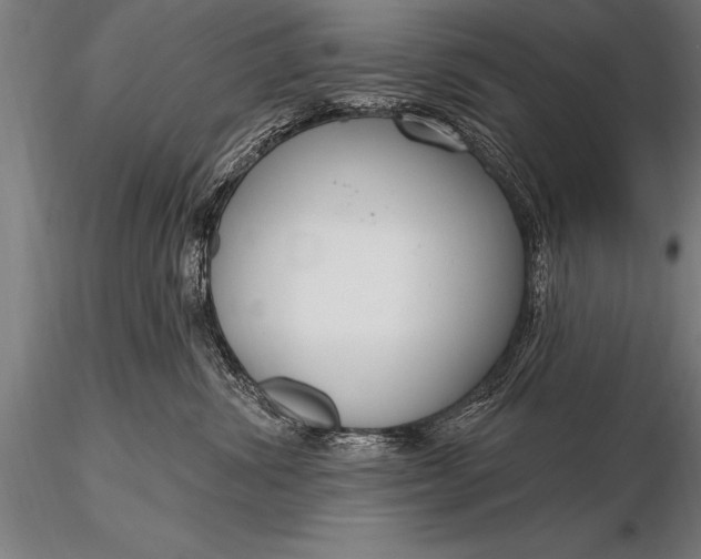 X0000116160428200912141225