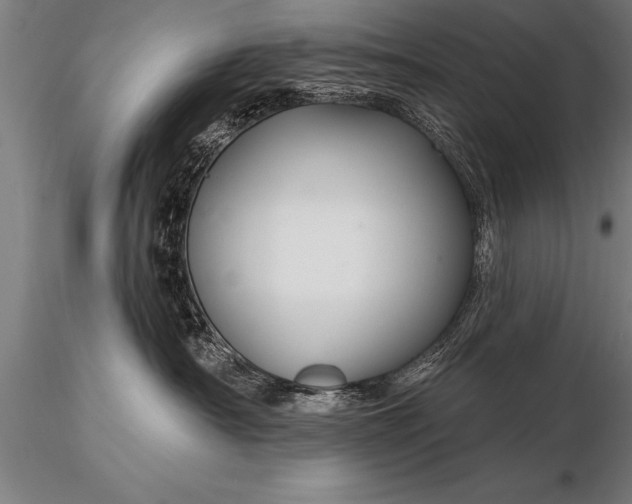 X0000116160430200912141225