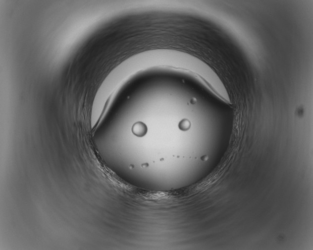 X0000116160431200912141225