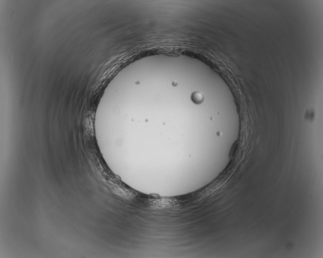 X0000116160432200912141225