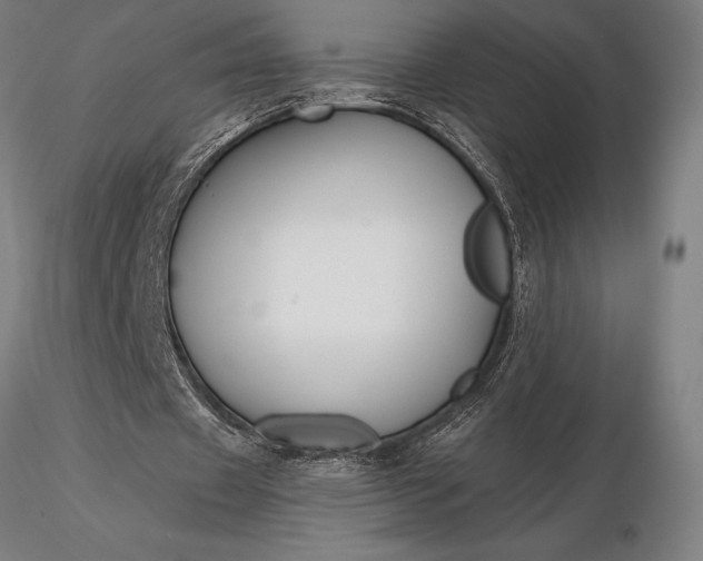 X0000116160433200912141224