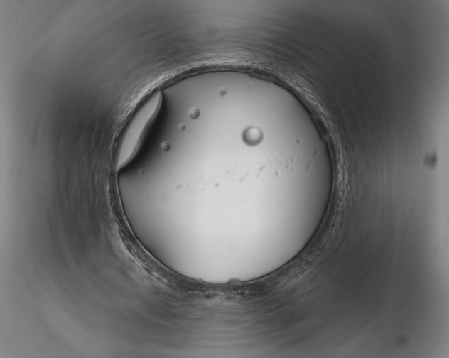 X0000116160434200912141224