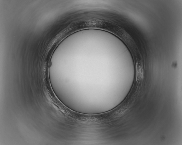X0000116160435200912141224
