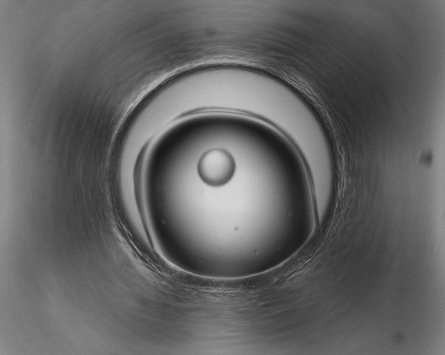 X0000116160436200912141224