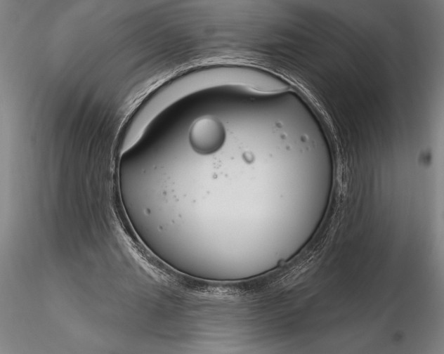 X0000116160437200912141224
