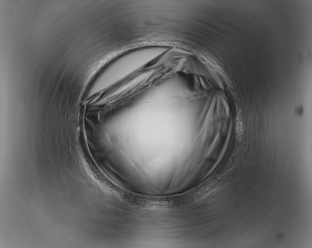X0000116160438200912141224
