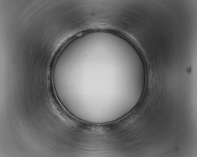 X0000116160439200912141224