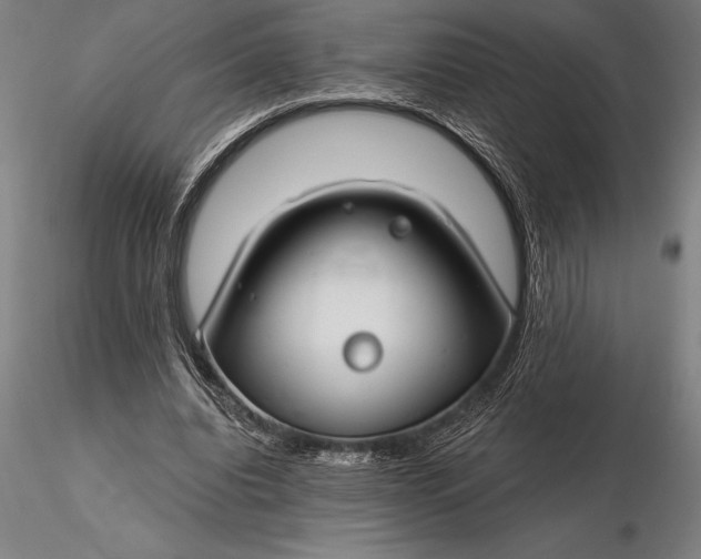 X0000116160440200912141224