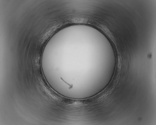 X0000116160441200912141224
