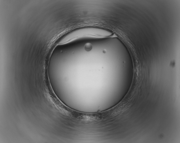 X0000116160442200912141224