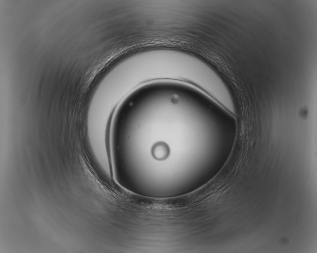 X0000116160444200912141224
