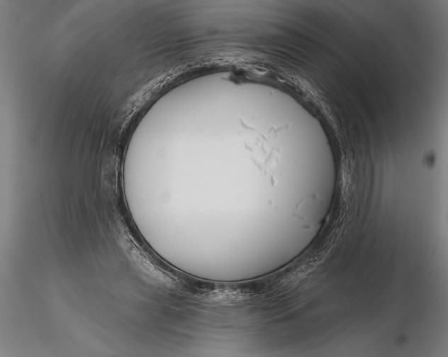 X0000116160445200912141224