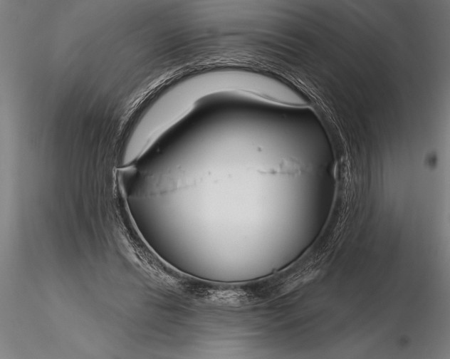 X0000116160446200912141224