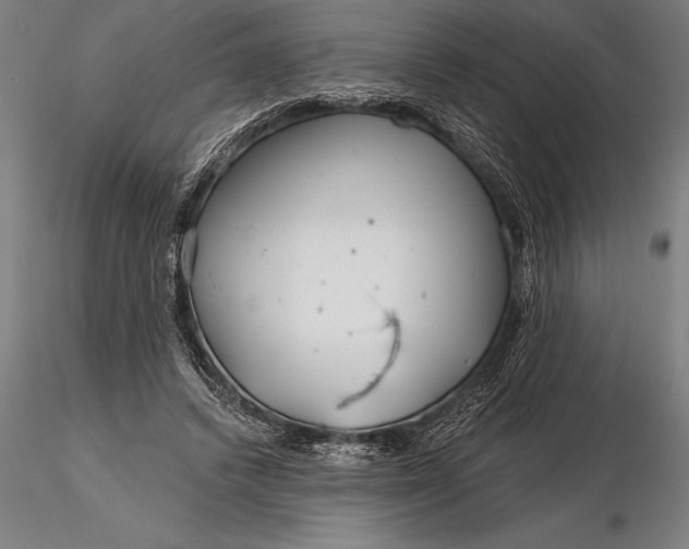 X0000116160448200912141224