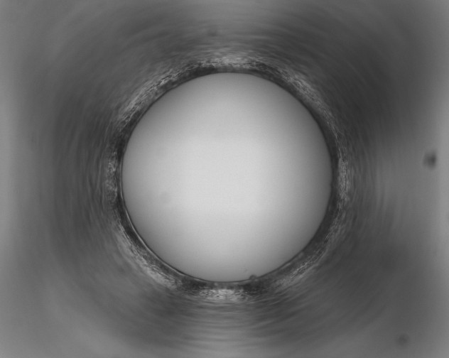 X0000116160449200912141224