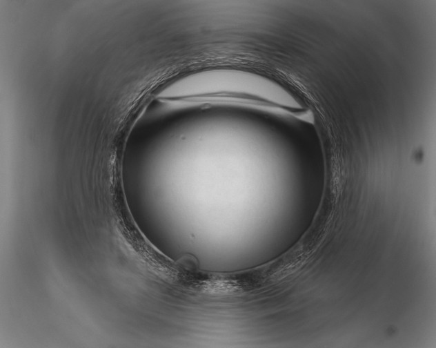 X0000116160451200912141224