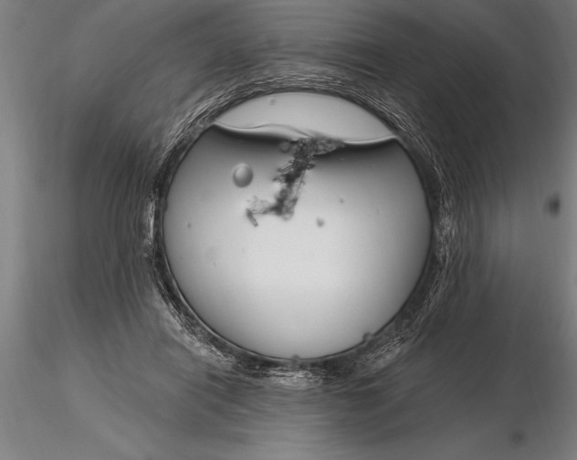 X0000116160454200912141224