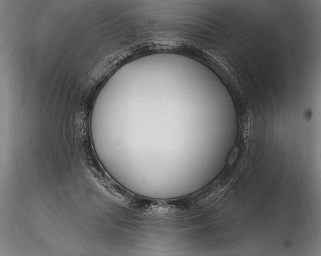 X0000116160455200912141224