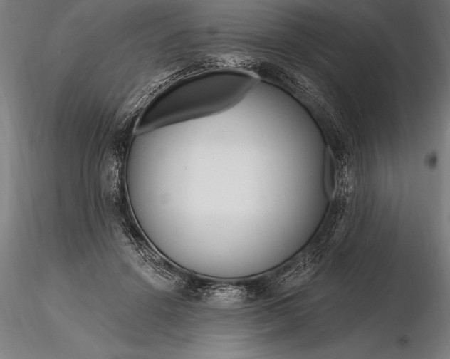 X0000116160456200912141224