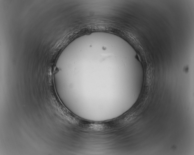 X0000116160457200912141224