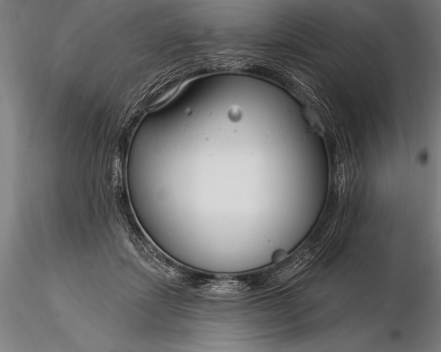 X0000116160459200912141224