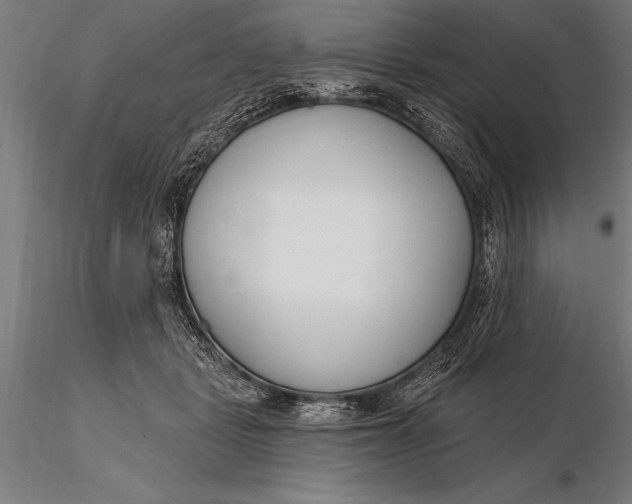 X0000116160461200912141224