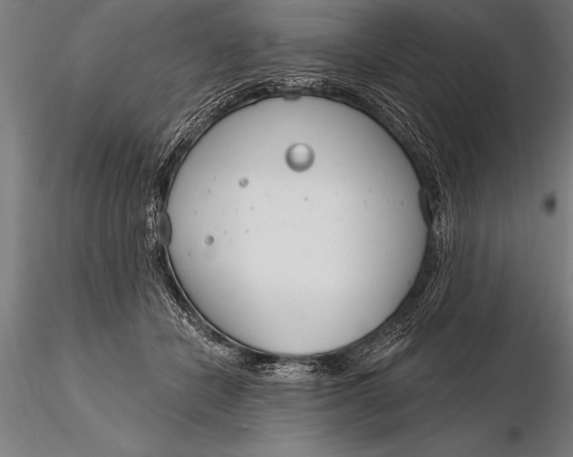 X0000116160462200912141224