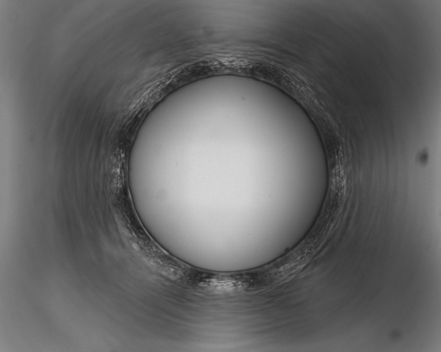X0000116160464200912141225