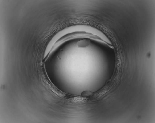 X0000116160465200912141225