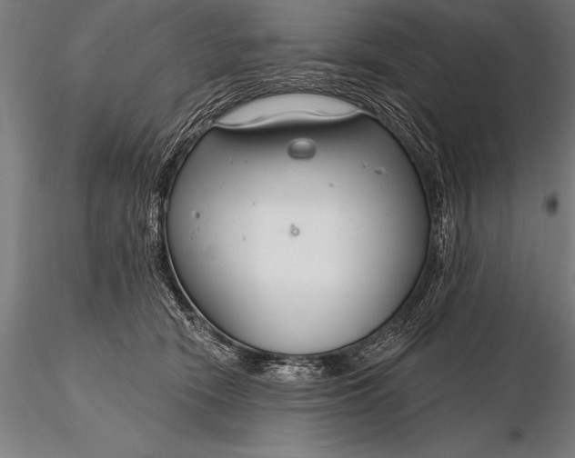 X0000116160466200912141225