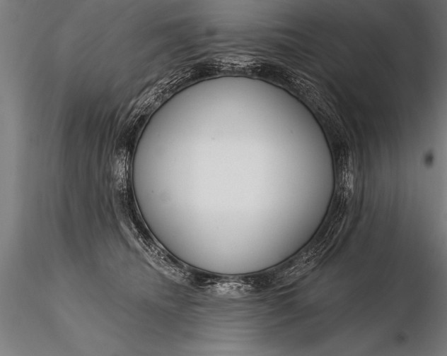 X0000116160468200912141225