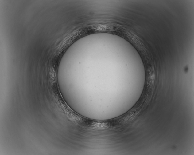 X0000116160469200912141225