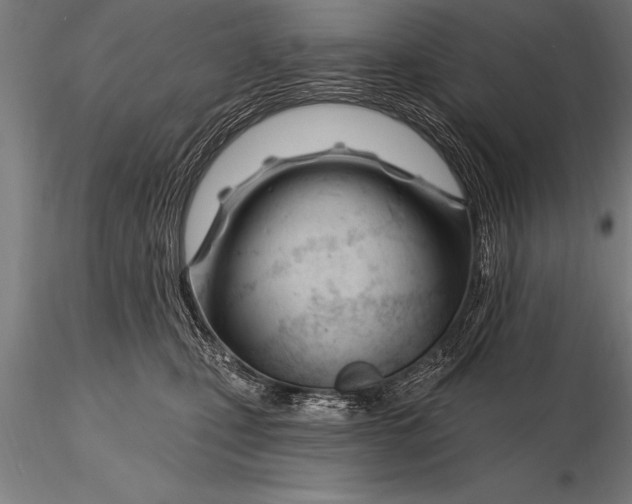 X0000116160471200912141225