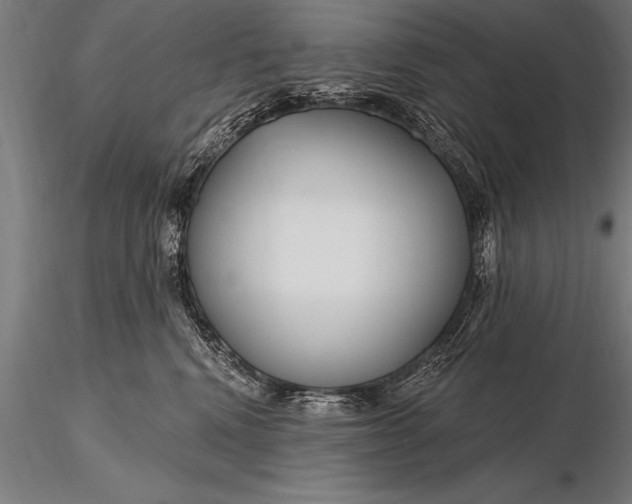 X0000116160472200912141225