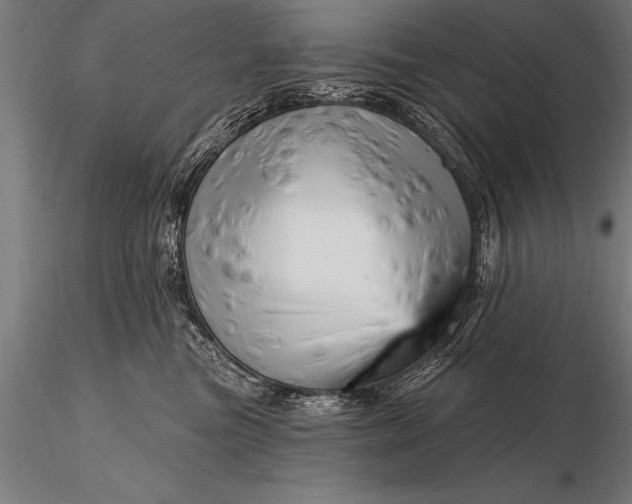 X0000116160473200912141225