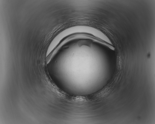 X0000116160475200912141225