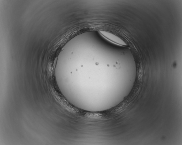 X0000116160476200912141225