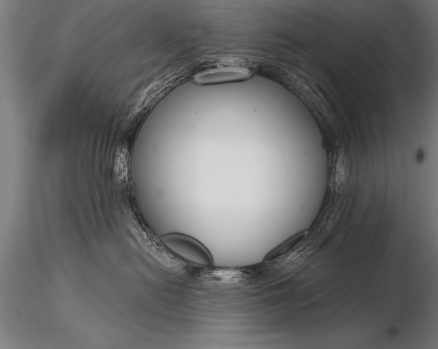 X0000116160478200912141225