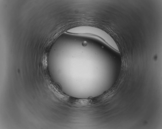 X0000116160479200912141225