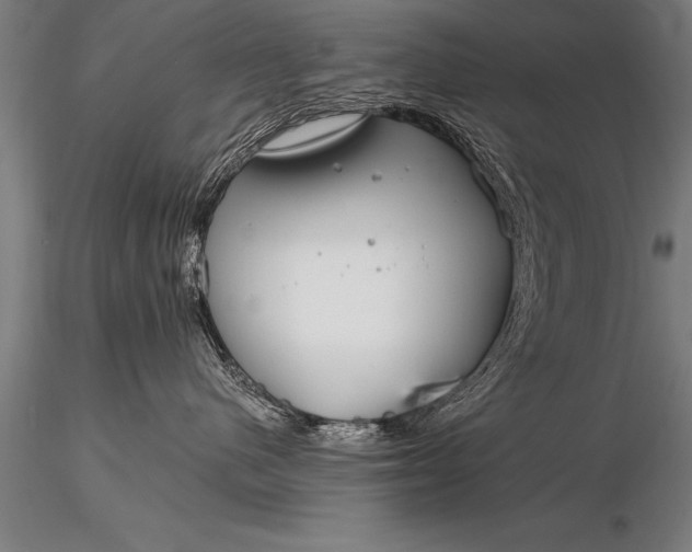 X0000116160480200912141225