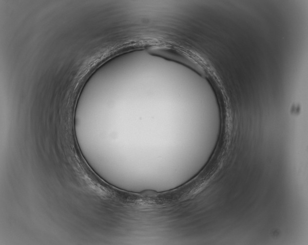 X0000116160481200912141224