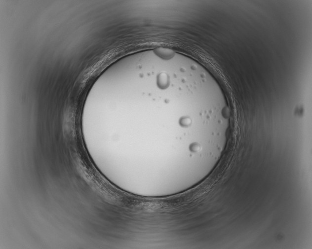 X0000116160482200912141224