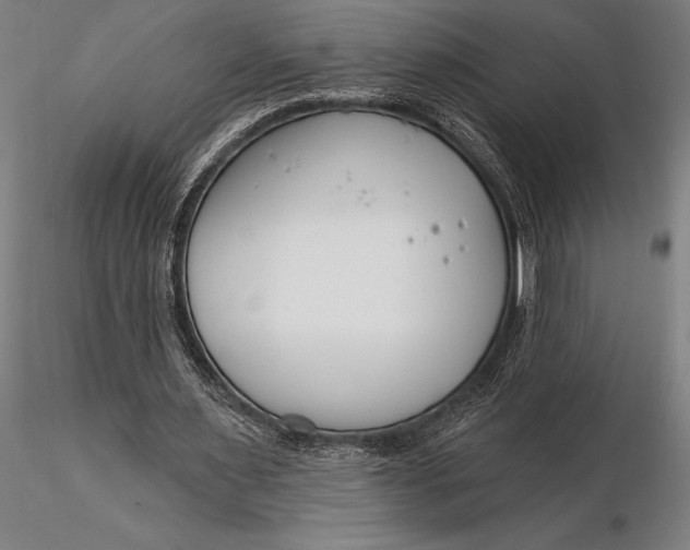 X0000116160483200912141224