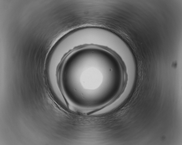 X0000116160484200912141224