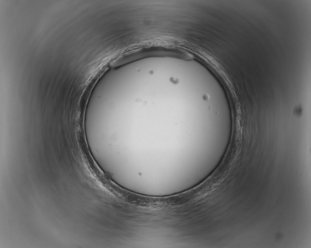 X0000116160485200912141224