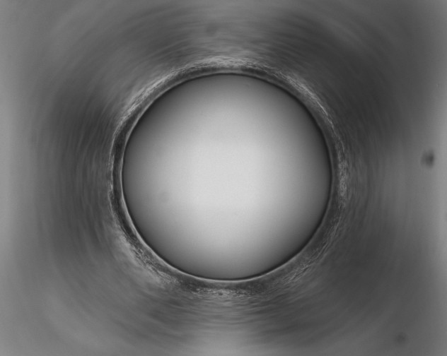 X0000116160486200912141224