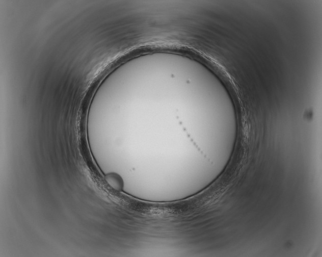 X0000116160487200912141224
