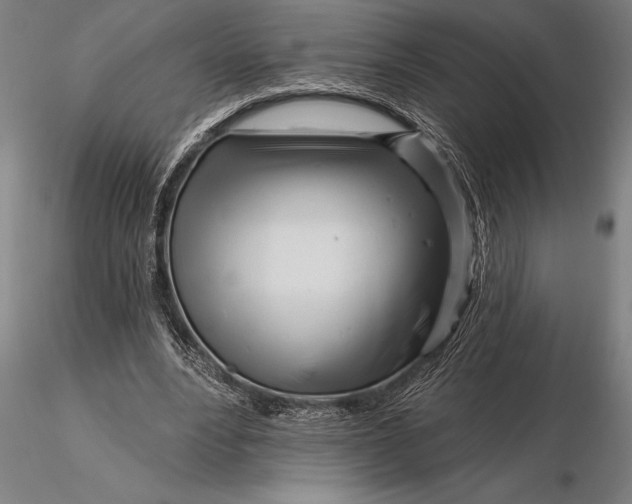 X0000116160488200912141224