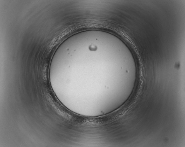 X0000116160489200912141224